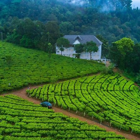 Tea Harvester Munnar Luaran gambar